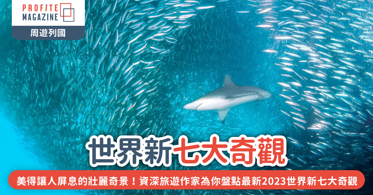 南非沙甸魚風暴