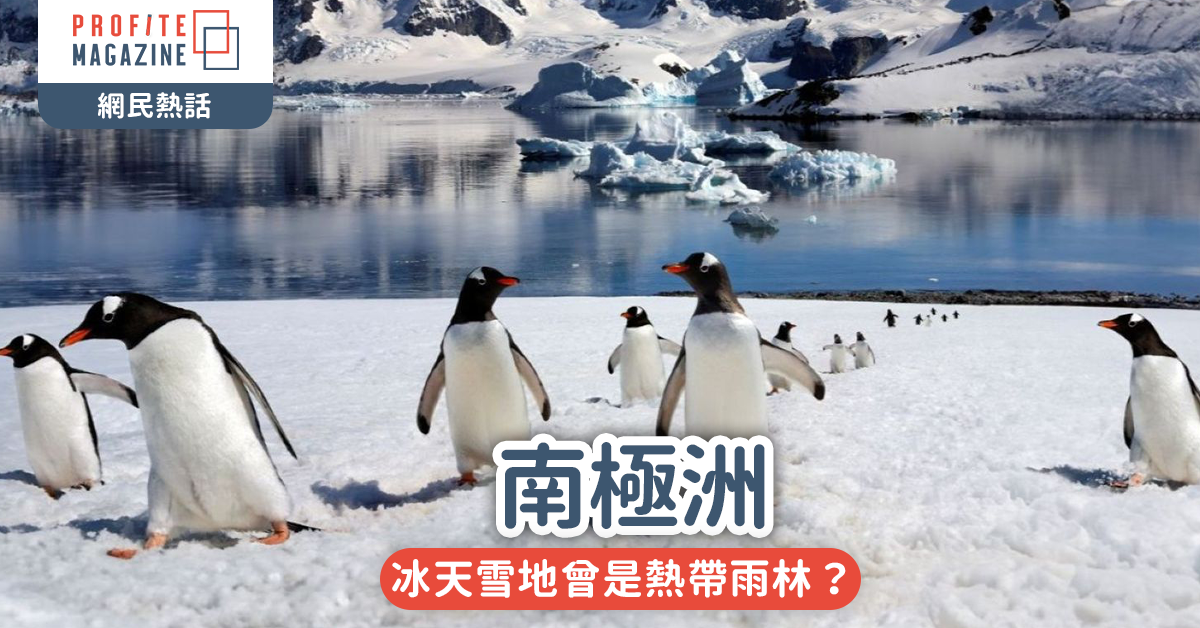 南極洲｜冰天雪地曾是熱帶雨林？