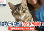 貓咪也能做感化導師？｜美國監獄內的「貓咪重塑計劃」令人動容